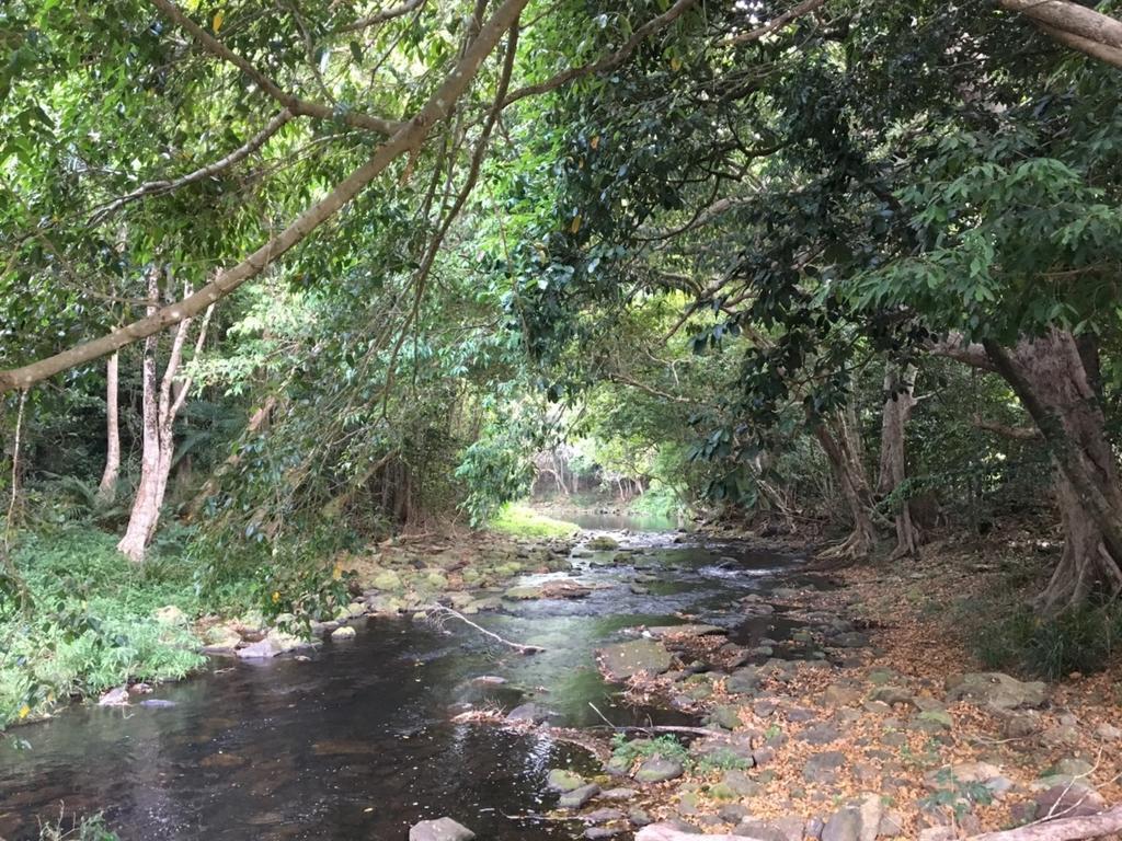Cairns Crystal Cascades Holiday Park מראה חיצוני תמונה
